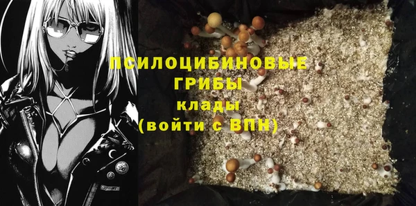 СК Белокуриха