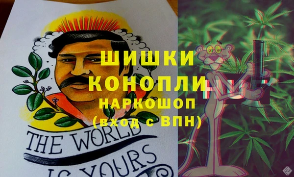 СК Белокуриха