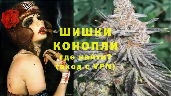 СК Белокуриха