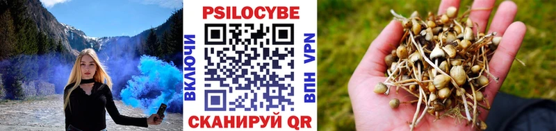 Купить  Феодосия  Галлюциногенные грибы MAGIC MUSHROOMS 